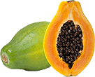 Maradol Papaya